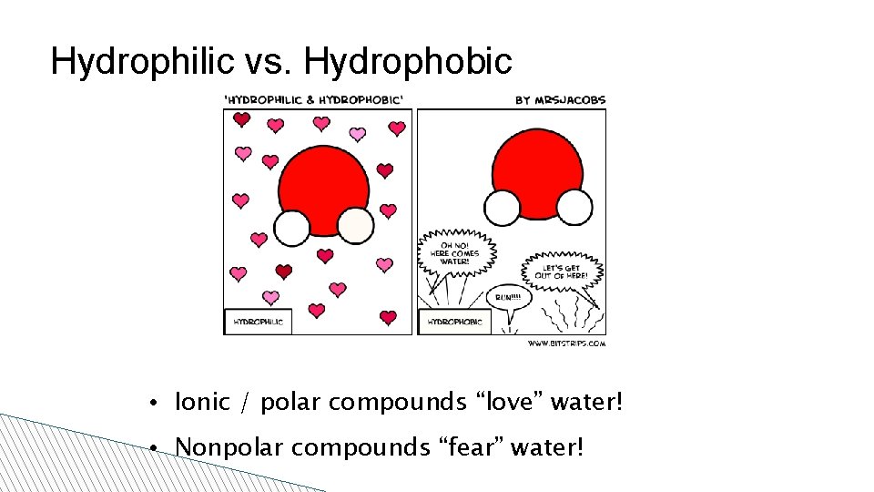 Hydrophilic vs. Hydrophobic • Ionic / polar compounds “love” water! • Nonpolar compounds “fear”