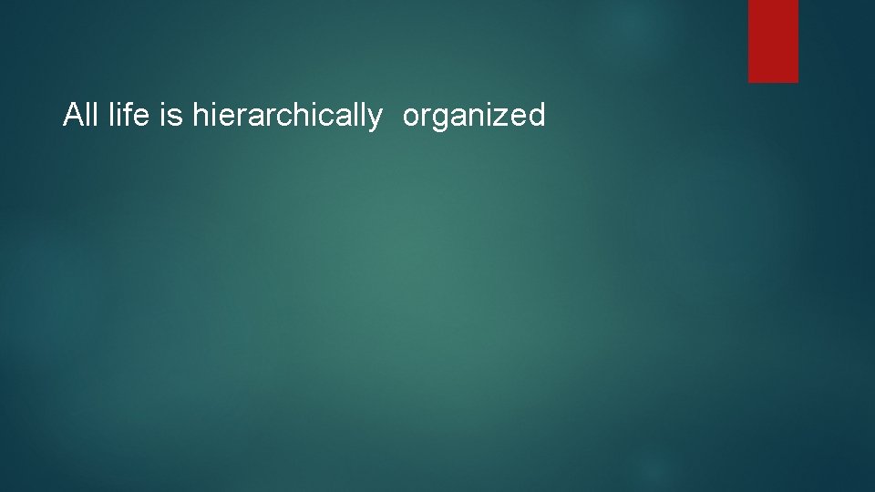 All life is hierarchically organized 