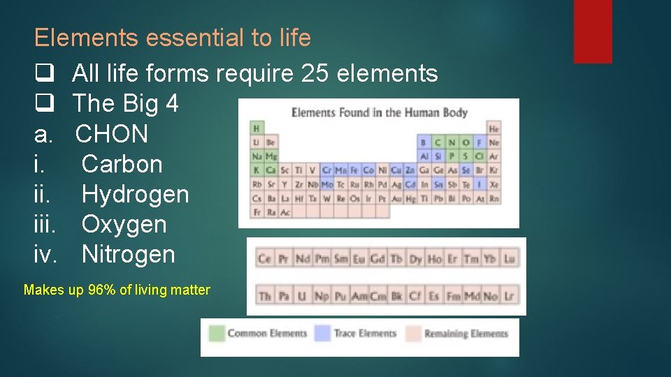 Elements essential to life q All life forms require 25 elements q The Big