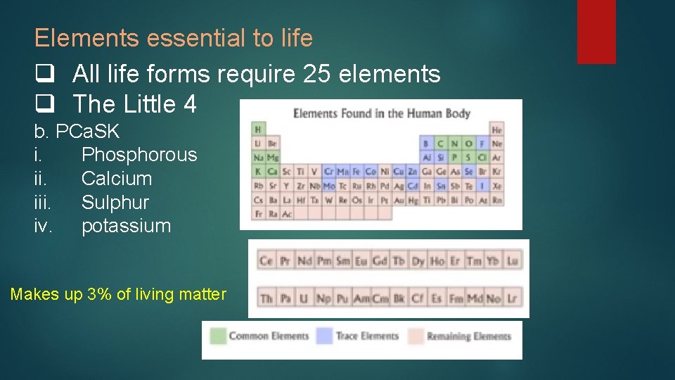 Elements essential to life q All life forms require 25 elements q The Little