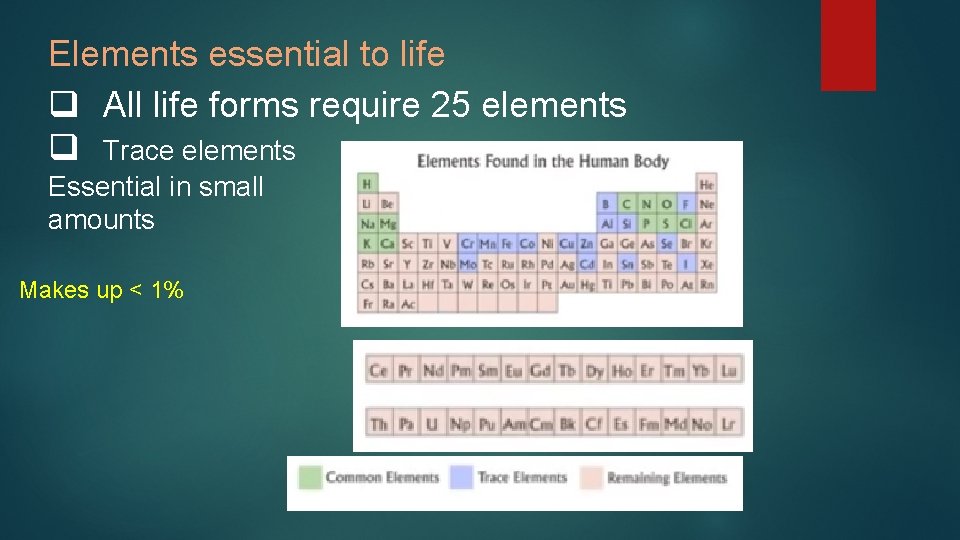 Elements essential to life q All life forms require 25 elements q Trace elements