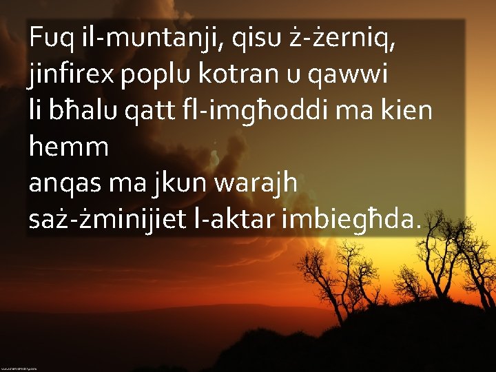 Fuq il-muntanji, qisu ż-żerniq, jinfirex poplu kotran u qawwi li bħalu qatt fl-imgħoddi ma