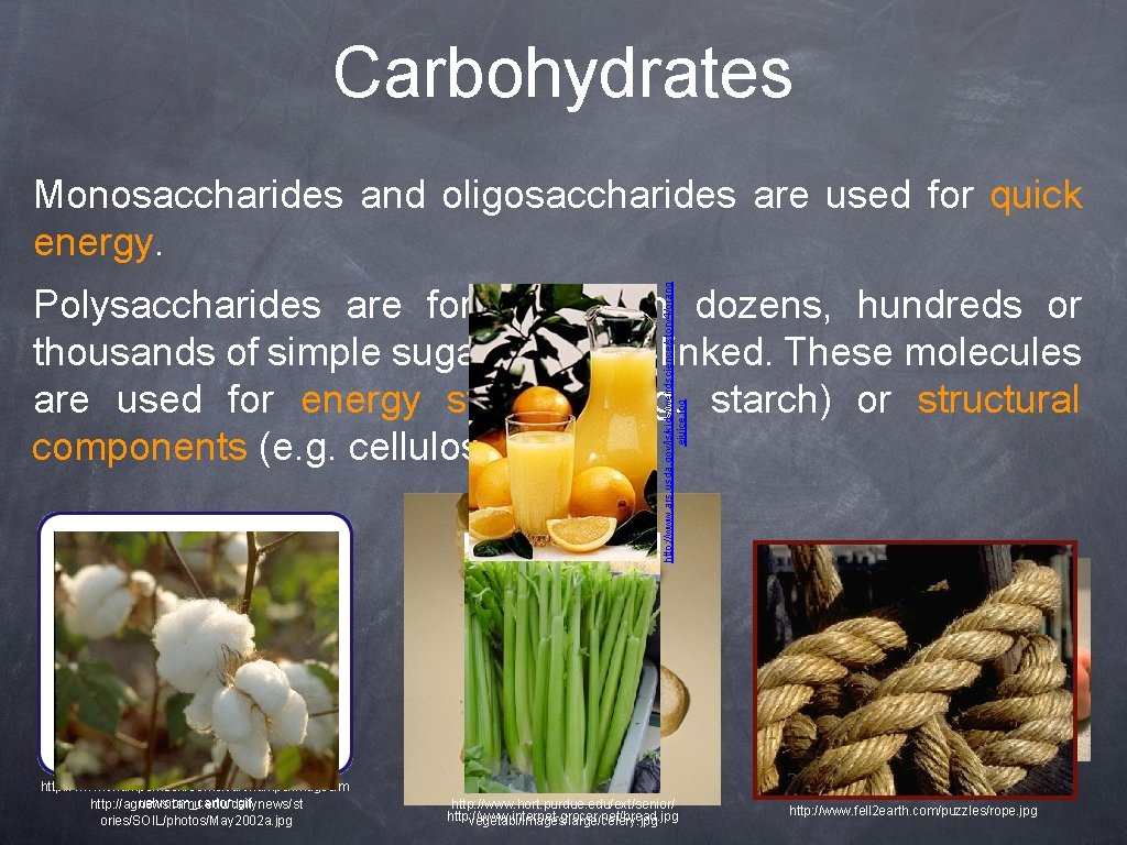 Carbohydrates http: //www. ars. usda. gov/is/kids/weirdscience/story 4/orang ejuice. jpg Monosaccharides and oligosaccharides are used