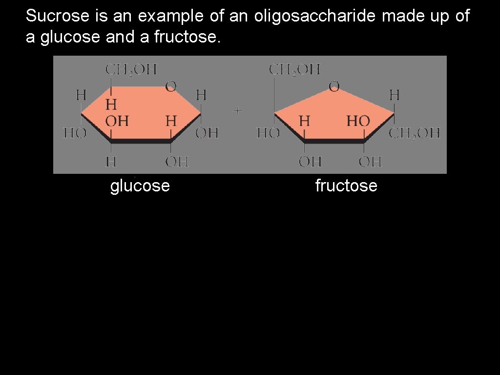 Sucrose is an example of an oligosaccharide made up of a glucose and a