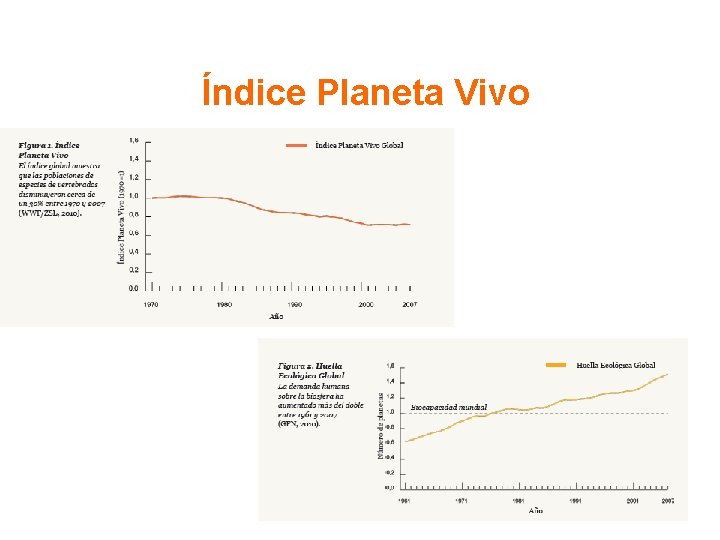 Índice Planeta Vivo 