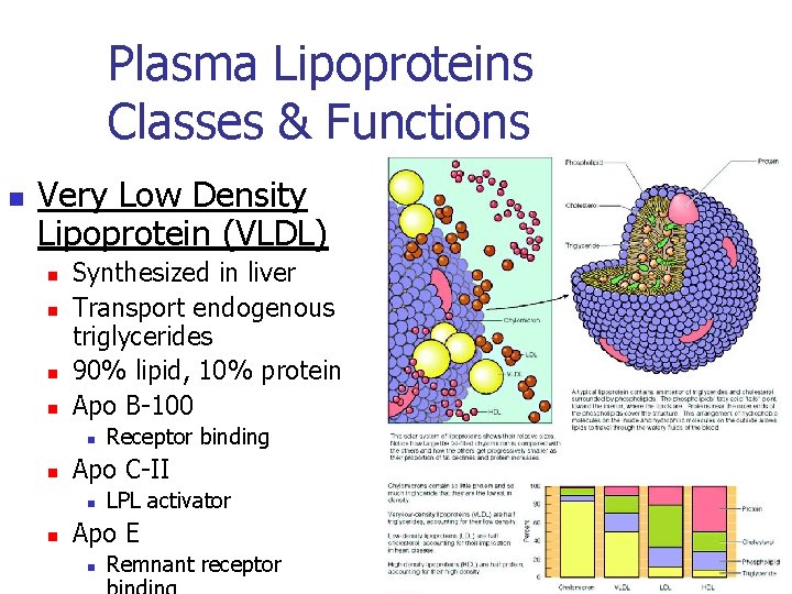 Plasma Lipoproteins Classes & Functions n Very Low Density Lipoprotein (VLDL) n n Synthesized