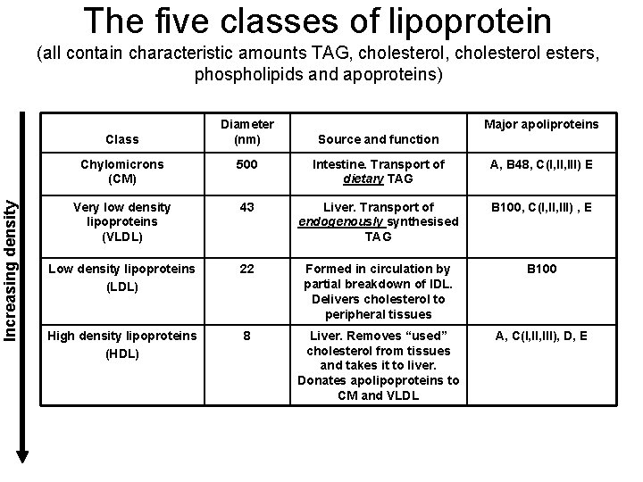 The five classes of lipoprotein (all contain characteristic amounts TAG, cholesterol esters, phospholipids and