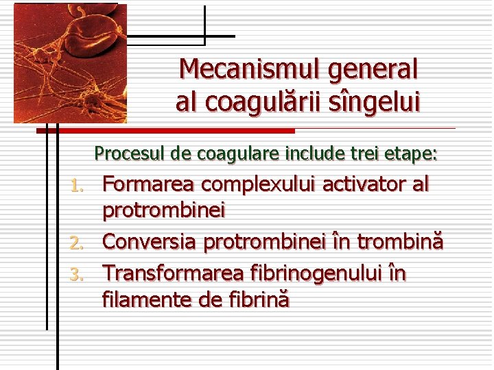 Mecanismul general al coagulării sîngelui Procesul de coagulare include trei etape: Formarea complexului activator