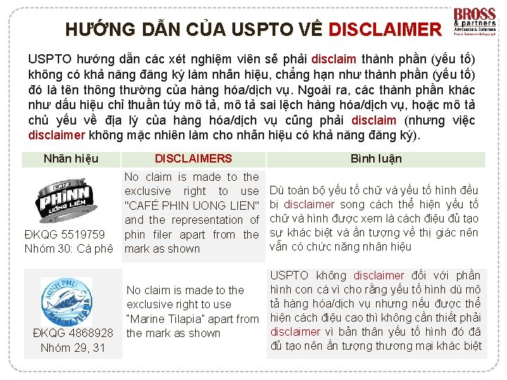 HƯỚNG DẪN CỦA USPTO VỀ DISCLAIMER USPTO hướng dẫn các xét nghiệm viên sẽ