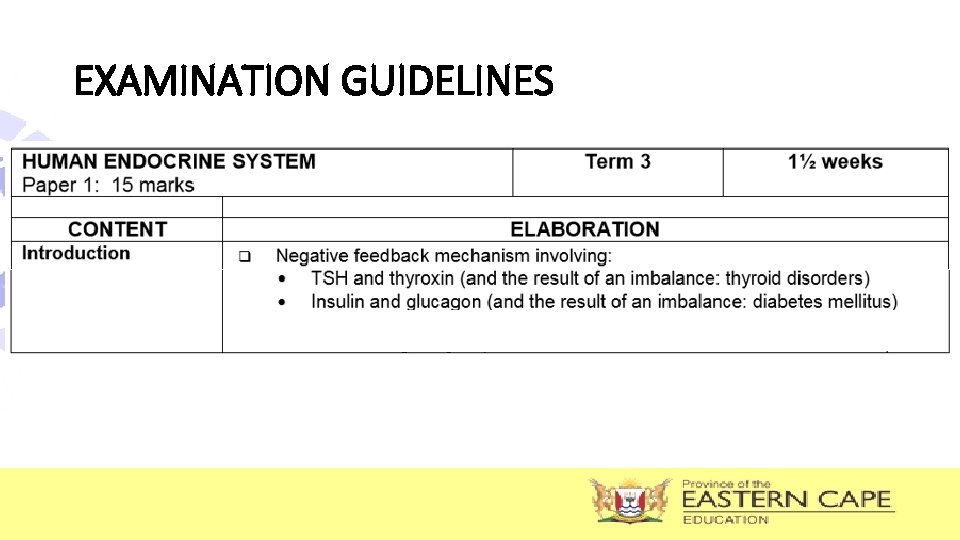 EXAMINATION GUIDELINES 