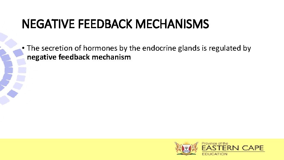 NEGATIVE FEEDBACK MECHANISMS • The secretion of hormones by the endocrine glands is regulated