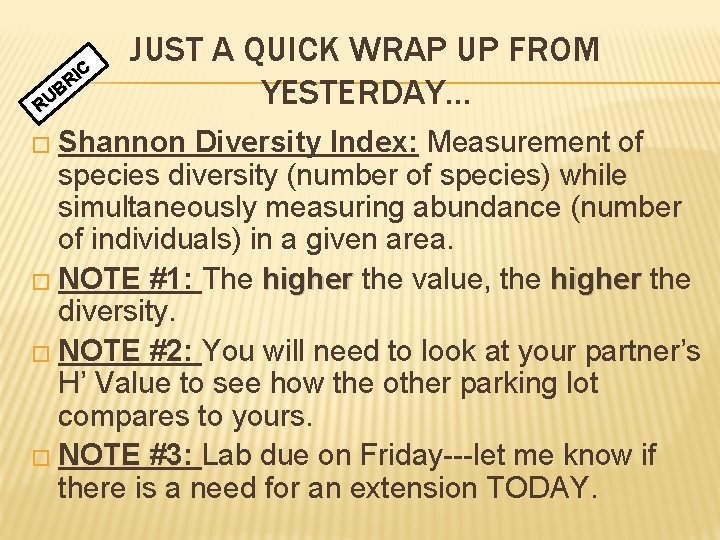 IC R B U R JUST A QUICK WRAP UP FROM YESTERDAY… � Shannon