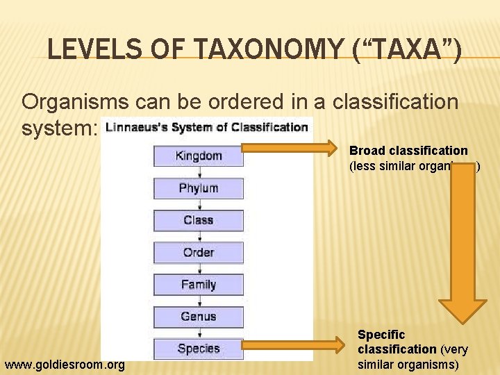 LEVELS OF TAXONOMY (“TAXA”) Organisms can be ordered in a classification system: Broad classification
