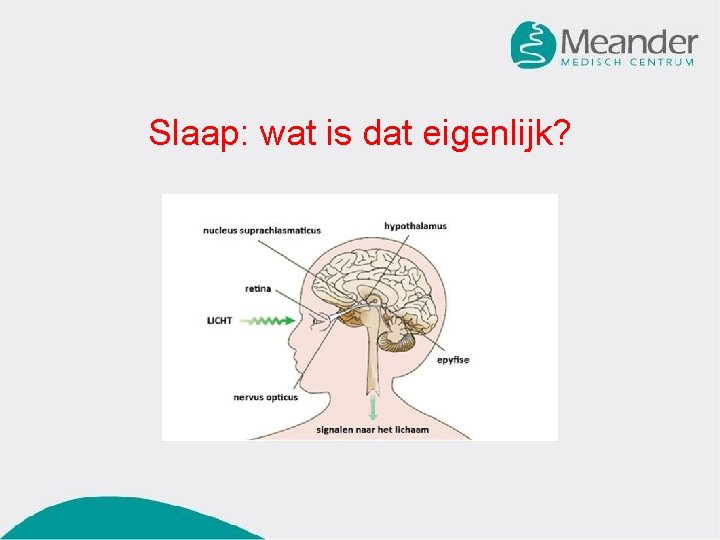 Slaap: wat is dat eigenlijk? 