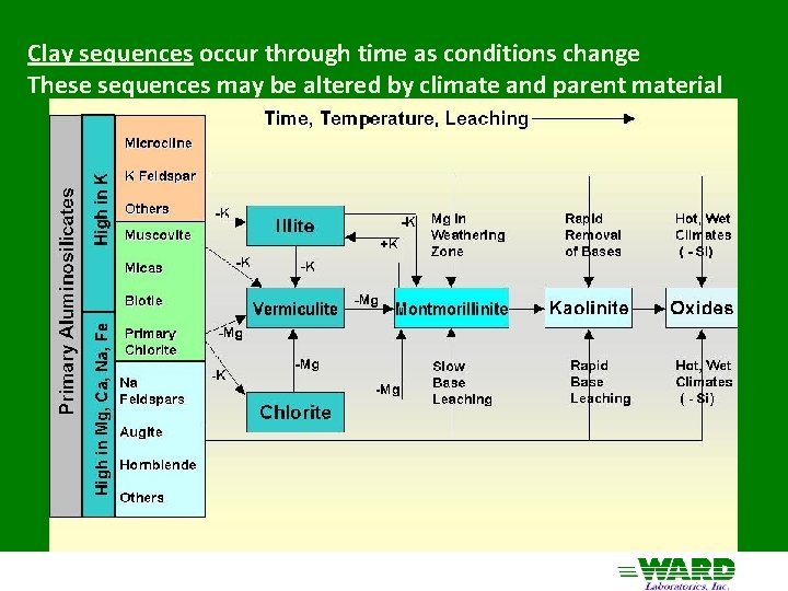 Clay sequences occur through time as conditions change These sequences may be altered by