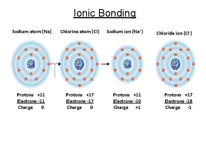 Ionic Bonding Sodium atom (Na) Chlorine atom (Cl) Protons +11 Electrons -11 Charge 0