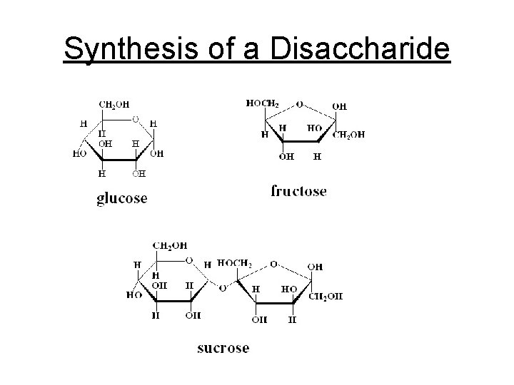 Synthesis of a Disaccharide 