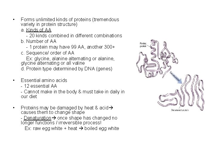  • Forms unlimited kinds of proteins (tremendous variety in protein structure) a. Kinds