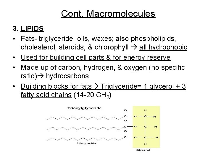 Cont. Macromolecules 3. LIPIDS • Fats- triglyceride, oils, waxes; also phospholipids, cholesterol, steroids, &
