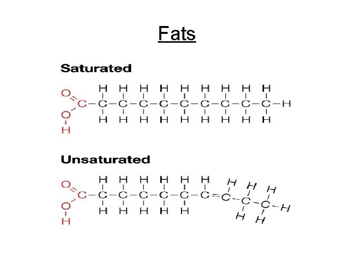 Fats 