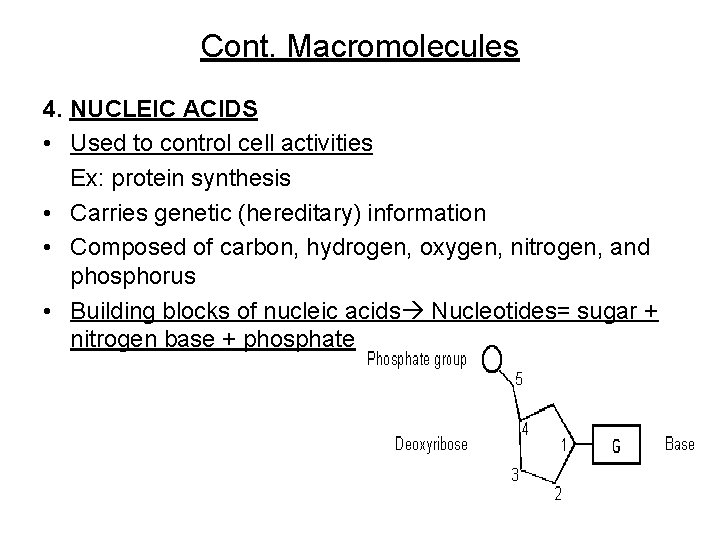 Cont. Macromolecules 4. NUCLEIC ACIDS • Used to control cell activities Ex: protein synthesis