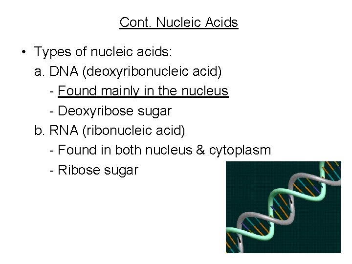 Cont. Nucleic Acids • Types of nucleic acids: a. DNA (deoxyribonucleic acid) - Found