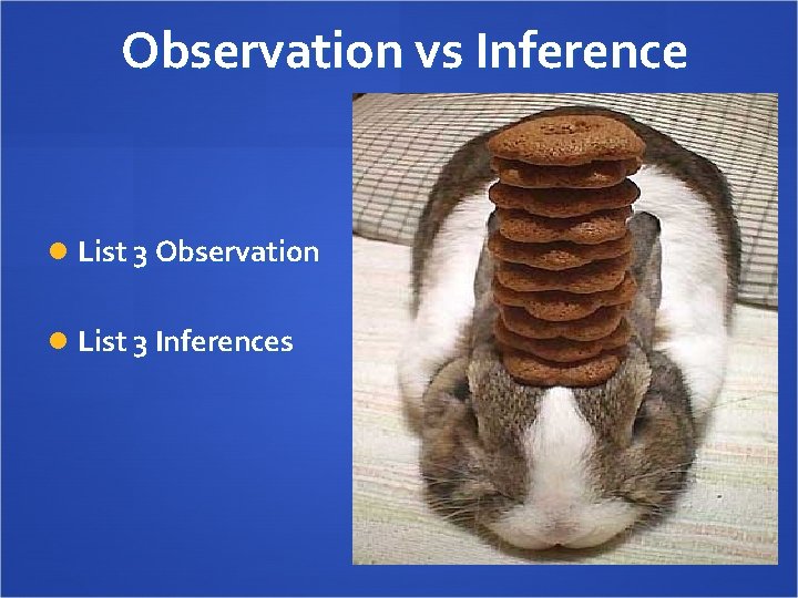 Observation vs Inference List 3 Observation List 3 Inferences 