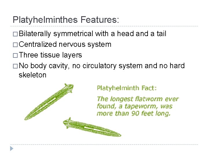 Platyhelminthes Features: � Bilaterally symmetrical with a head and a tail � Centralized nervous