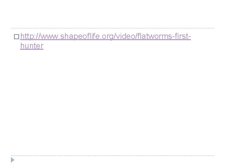 � http: //www. shapeoflife. org/video/flatworms-first- hunter 