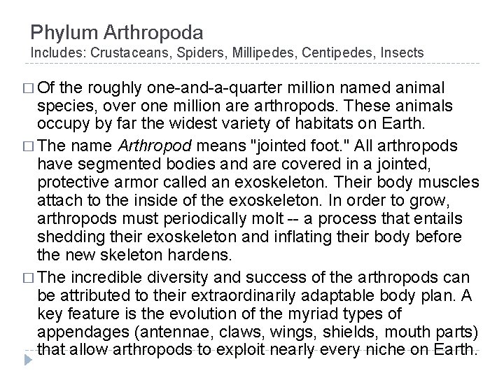 Phylum Arthropoda Includes: Crustaceans, Spiders, Millipedes, Centipedes, Insects � Of the roughly one-and-a-quarter million