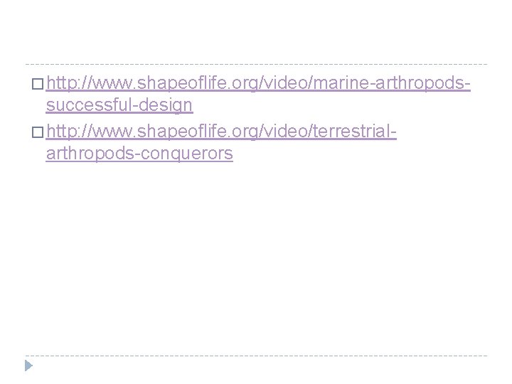 � http: //www. shapeoflife. org/video/marine-arthropods- successful-design � http: //www. shapeoflife. org/video/terrestrialarthropods-conquerors 