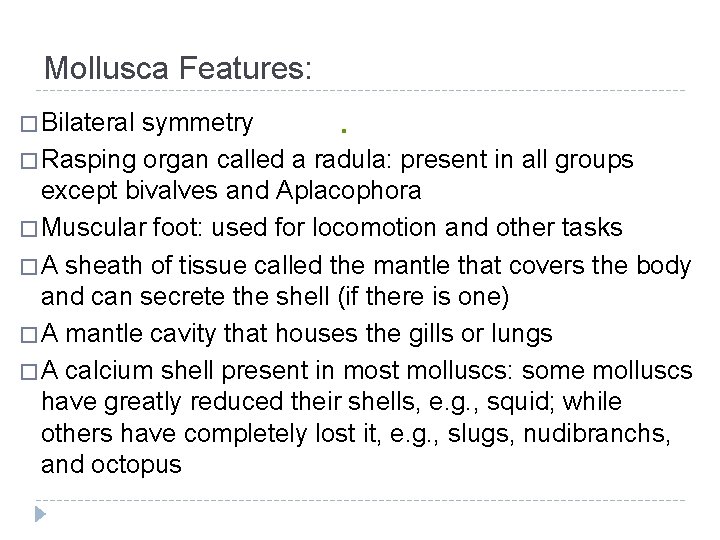Mollusca Features: � Bilateral symmetry � Rasping organ called a radula: present in all