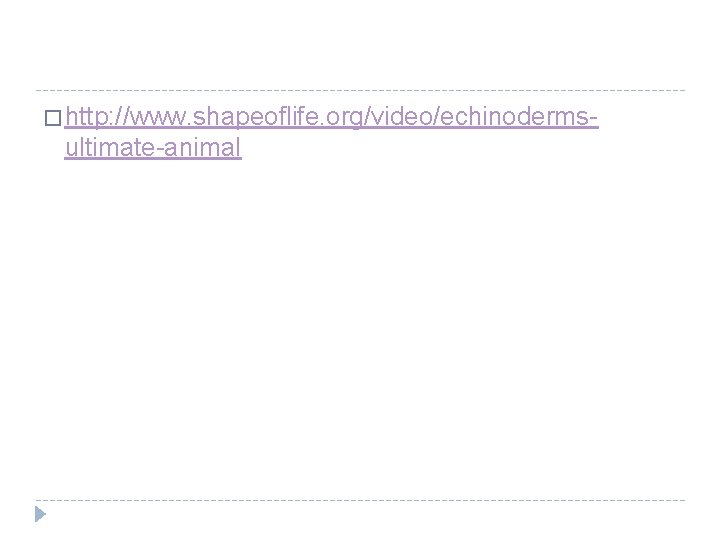 � http: //www. shapeoflife. org/video/echinoderms- ultimate-animal 