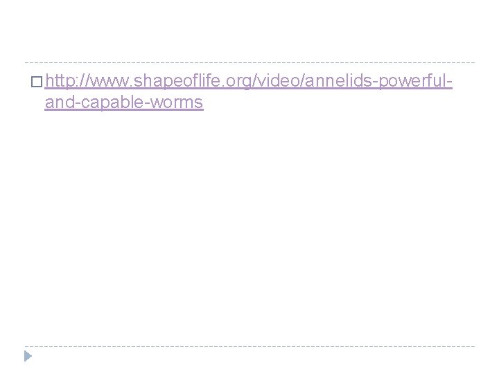 � http: //www. shapeoflife. org/video/annelids-powerful- and-capable-worms 