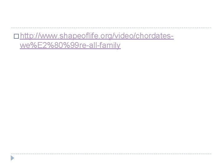 � http: //www. shapeoflife. org/video/chordates- we%E 2%80%99 re-all-family 