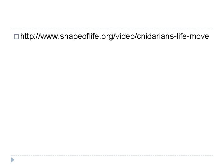� http: //www. shapeoflife. org/video/cnidarians-life-move 