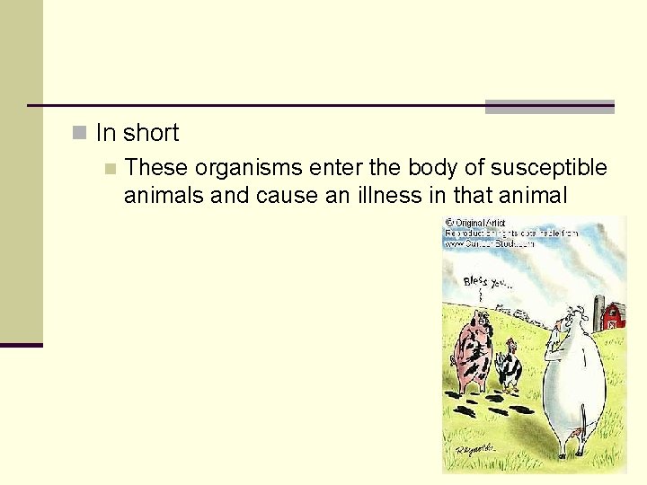 n In short n These organisms enter the body of susceptible animals and cause