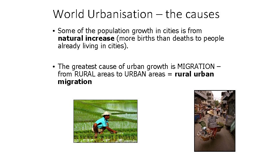 World Urbanisation – the causes • Some of the population growth in cities is