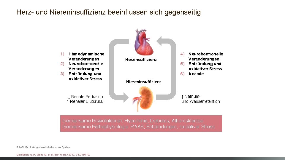 Herz- und Niereninsuffizienz beeinflussen sich gegenseitig 1) Hämodynamische Veränderungen 2) Neurohormonelle Veränderungen 3) Entzündung