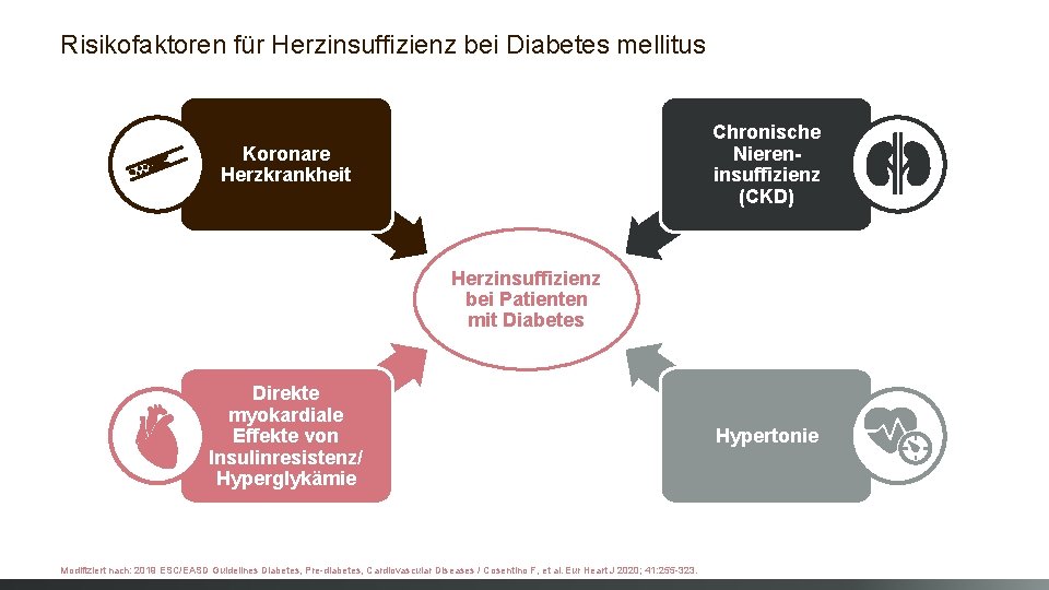 Risikofaktoren für Herzinsuffizienz bei Diabetes mellitus Chronische Niereninsuffizienz (CKD) Koronare Herzkrankheit Herzinsuffizienz bei Patienten