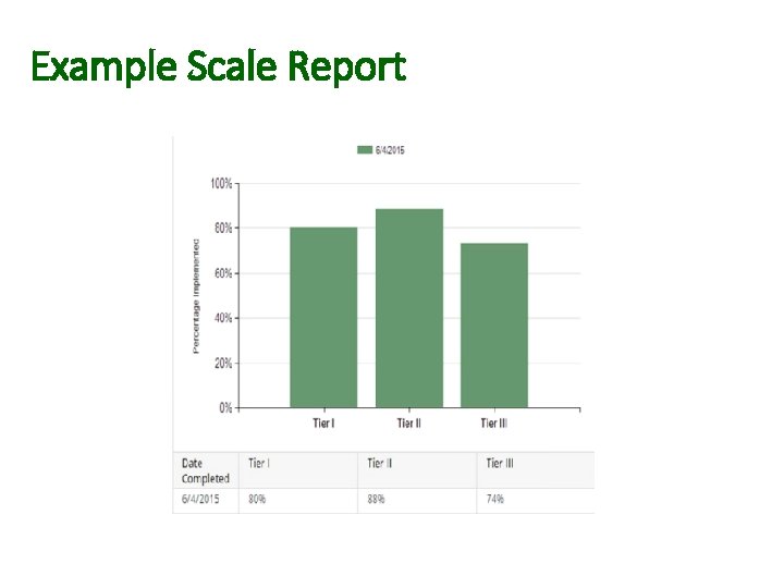 Example Scale Report 