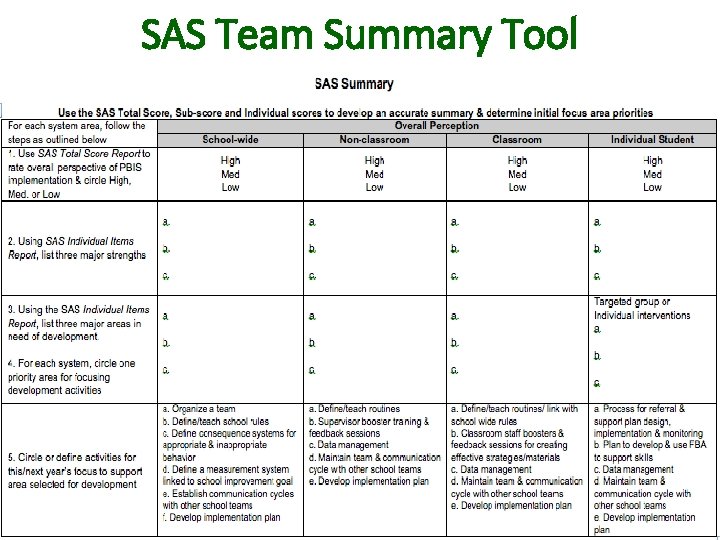 SAS Team Summary Tool 