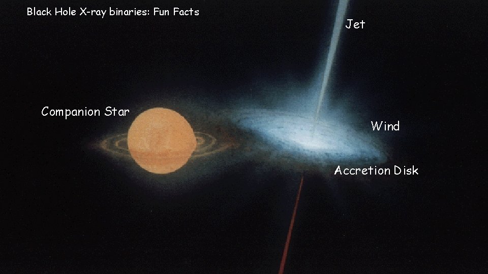 Black Hole X-ray binaries: Fun Facts Companion Star Jet Wind Accretion Disk 