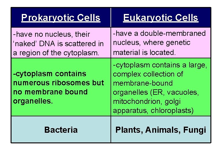 Prokaryotic Cells -have no nucleus, their ‘naked’ DNA is scattered in a region of