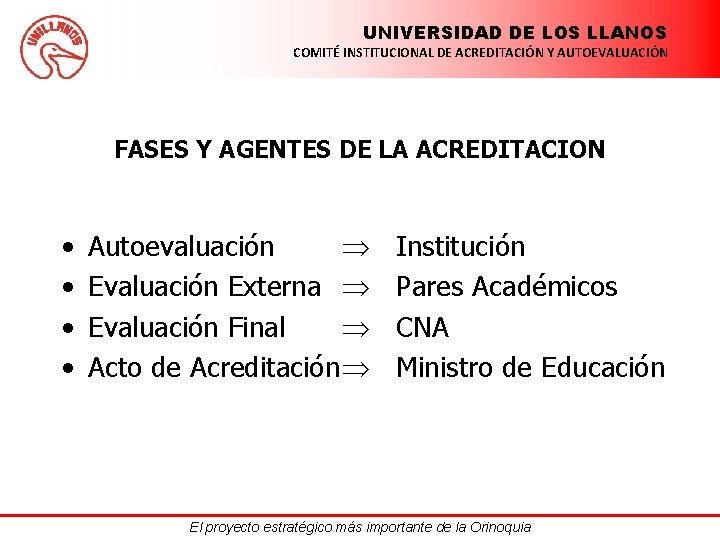 UNIVERSIDAD DE LOS LLANOS COMITÉ INSTITUCIONAL DE ACREDITACIÓN Y AUTOEVALUACIÓN FASES Y AGENTES DE