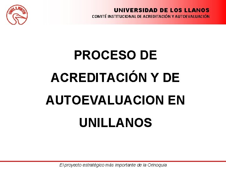 UNIVERSIDAD DE LOS LLANOS COMITÉ INSTITUCIONAL DE ACREDITACIÓN Y AUTOEVALUACIÓN PROCESO DE ACREDITACIÓN Y
