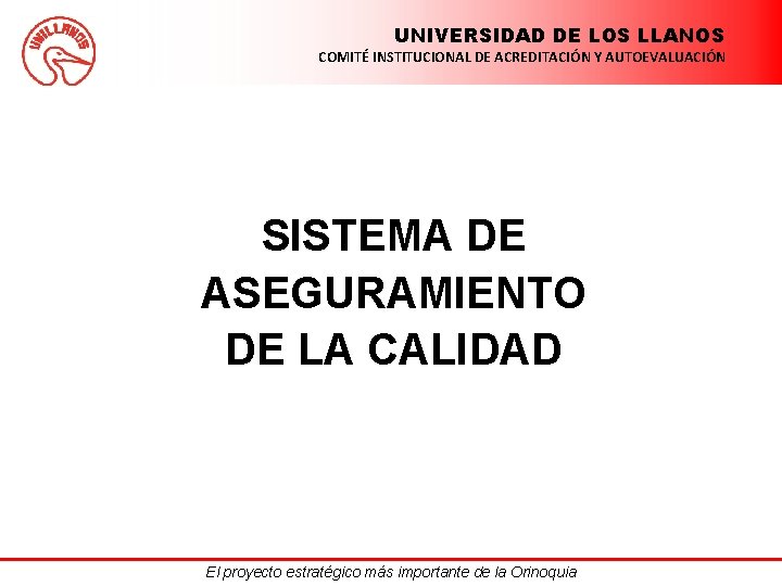 UNIVERSIDAD DE LOS LLANOS COMITÉ INSTITUCIONAL DE ACREDITACIÓN Y AUTOEVALUACIÓN SISTEMA DE ASEGURAMIENTO DE