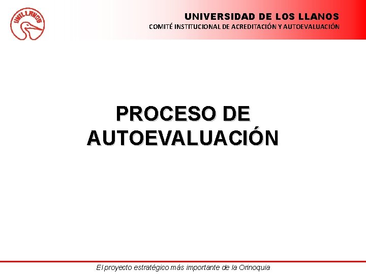 UNIVERSIDAD DE LOS LLANOS COMITÉ INSTITUCIONAL DE ACREDITACIÓN Y AUTOEVALUACIÓN PROCESO DE AUTOEVALUACIÓN El