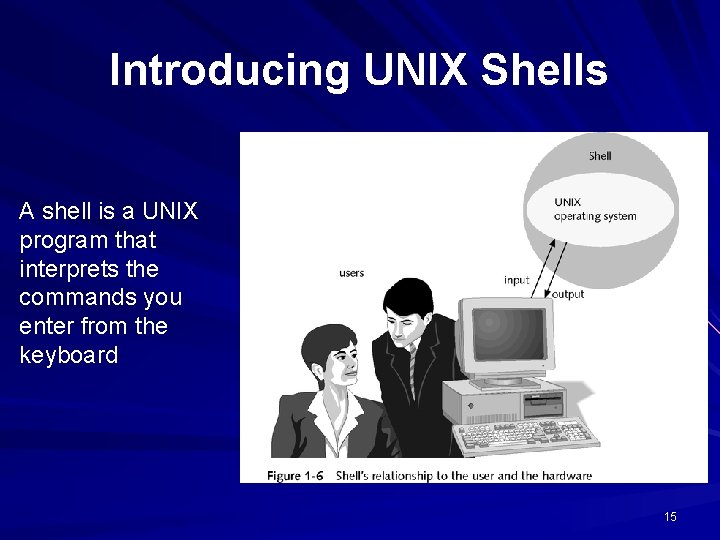 Introducing UNIX Shells A shell is a UNIX program that interprets the commands you Introducing UNIX Shells A shell is a UNIX program that interprets the commands you