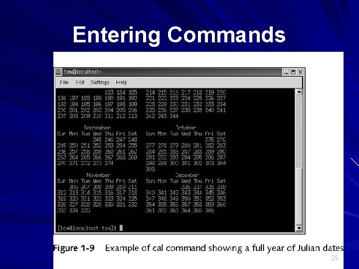 Entering Commands 25 Entering Commands 25